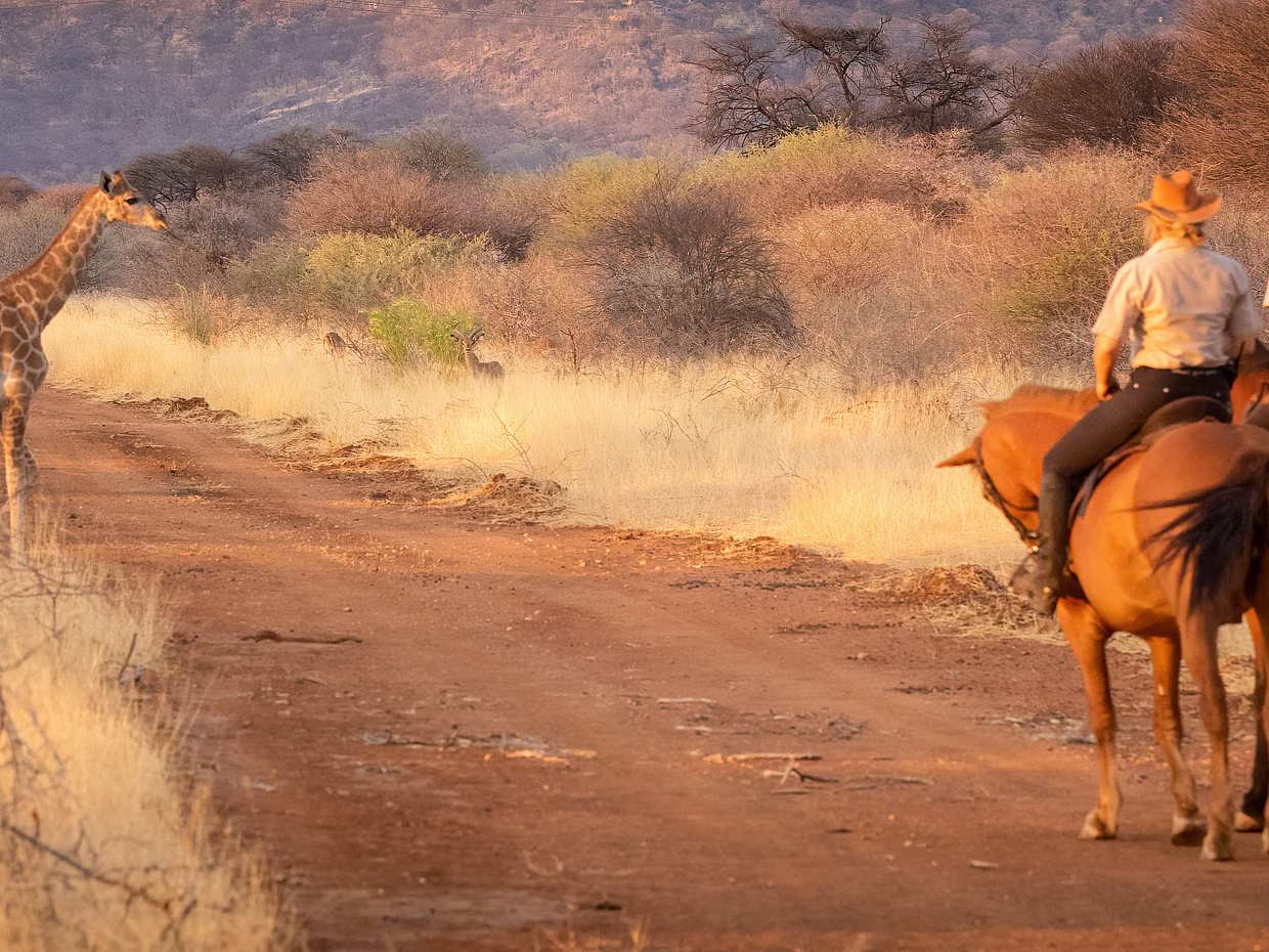For Couples: Private Horse Riding Safari in Cape Town, South Africa, photo 2