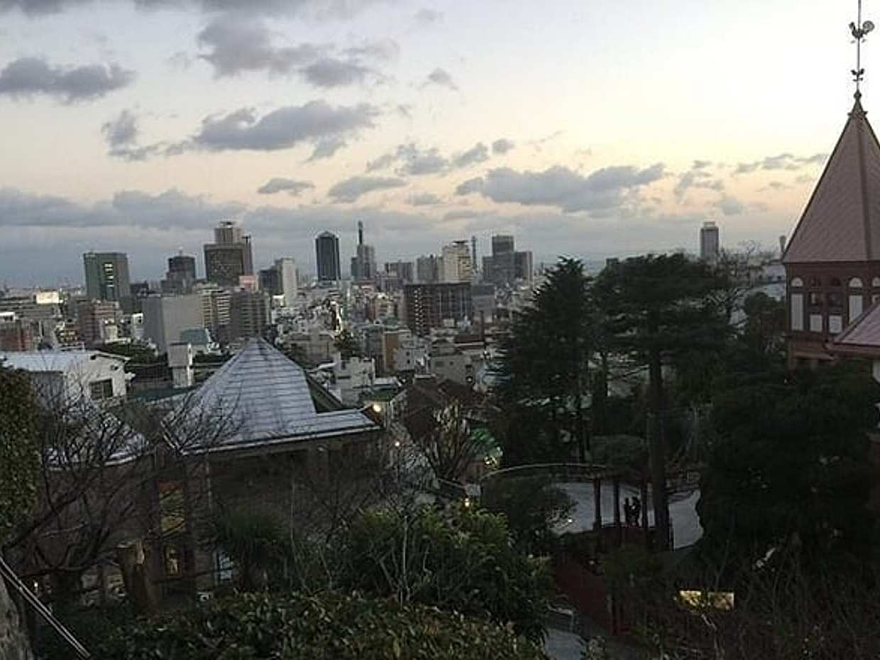 Full-Day Private Guided Tour to Himeji and Kobe, photo 4