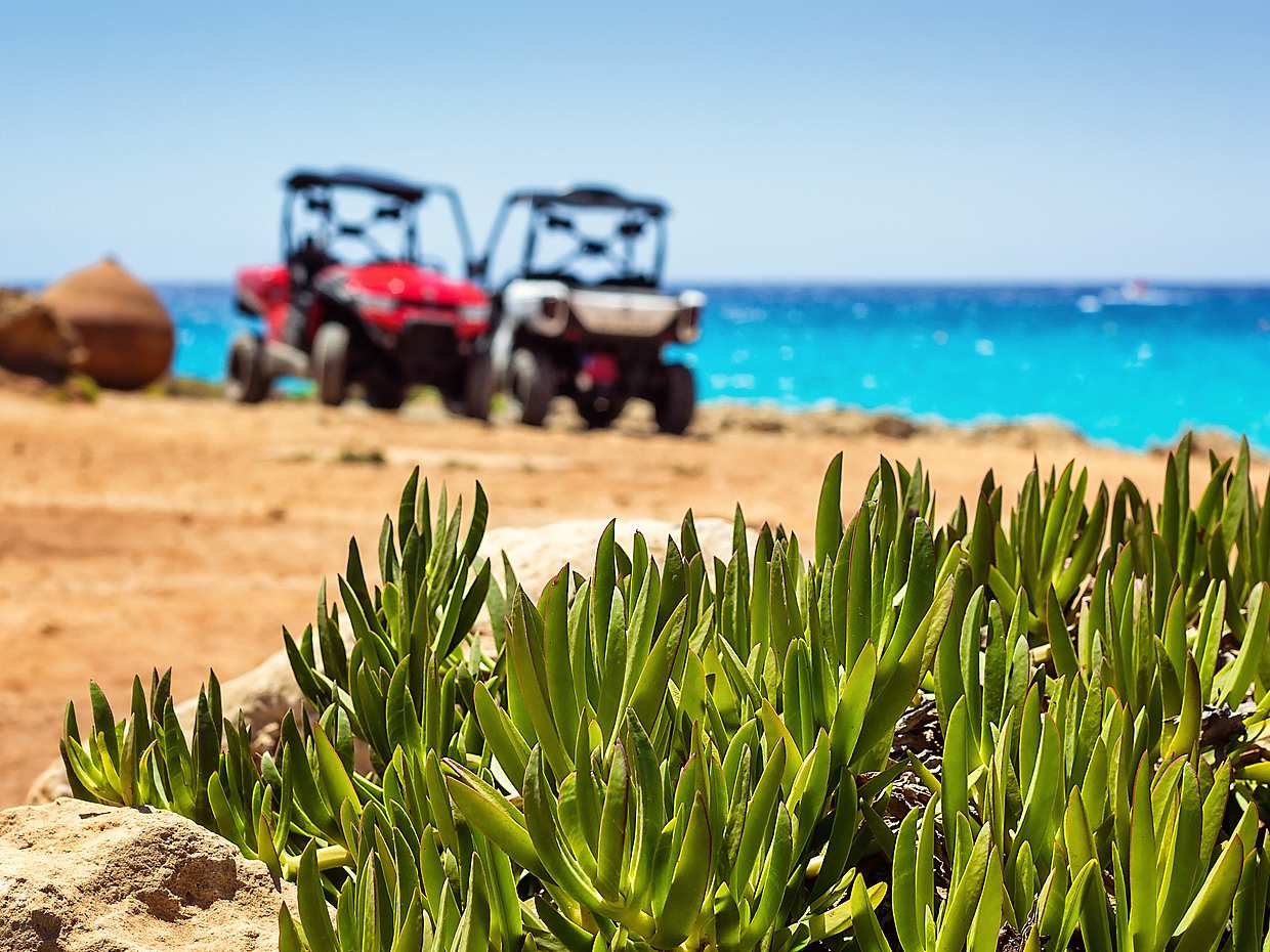 Tour in quad o buggy da Coral Bay ai Bagni di Afrodite, photo 2