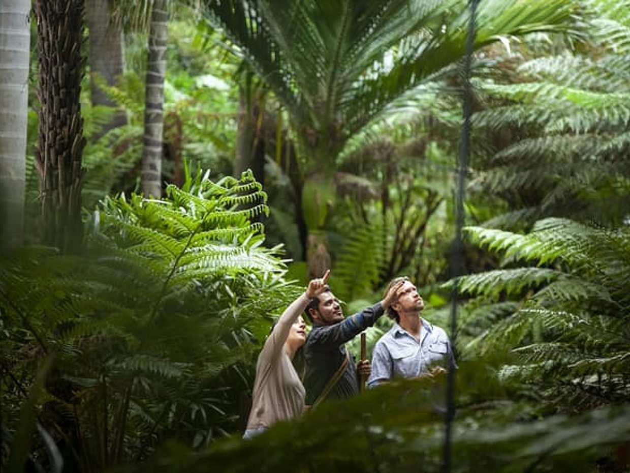 Aboriginal Heritage Walk, photo 2