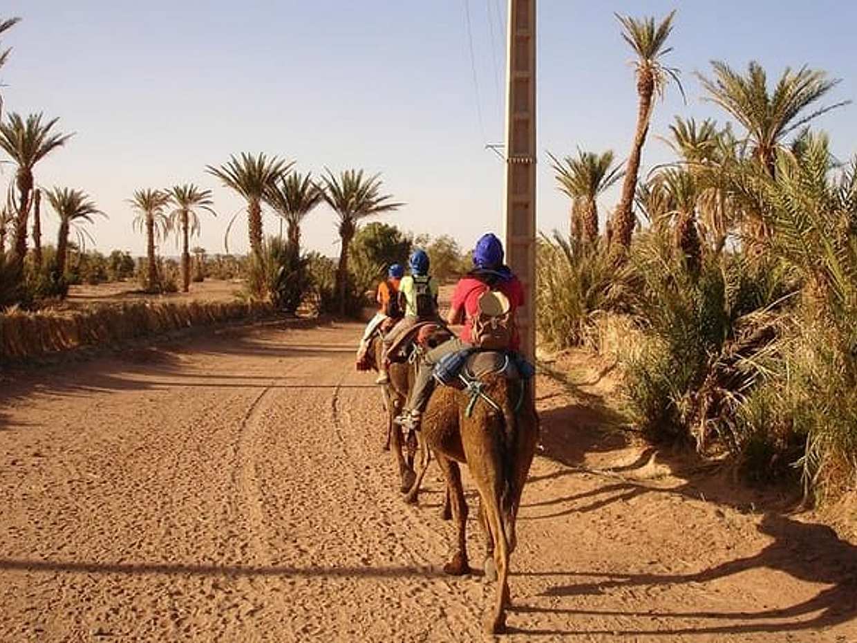 Camel Ride Tour in Marrakech, photo 5