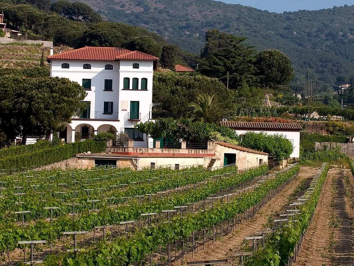 E-Bike from Barcelona to the Vineyards, Wine Tasting & Lunch, photo 4