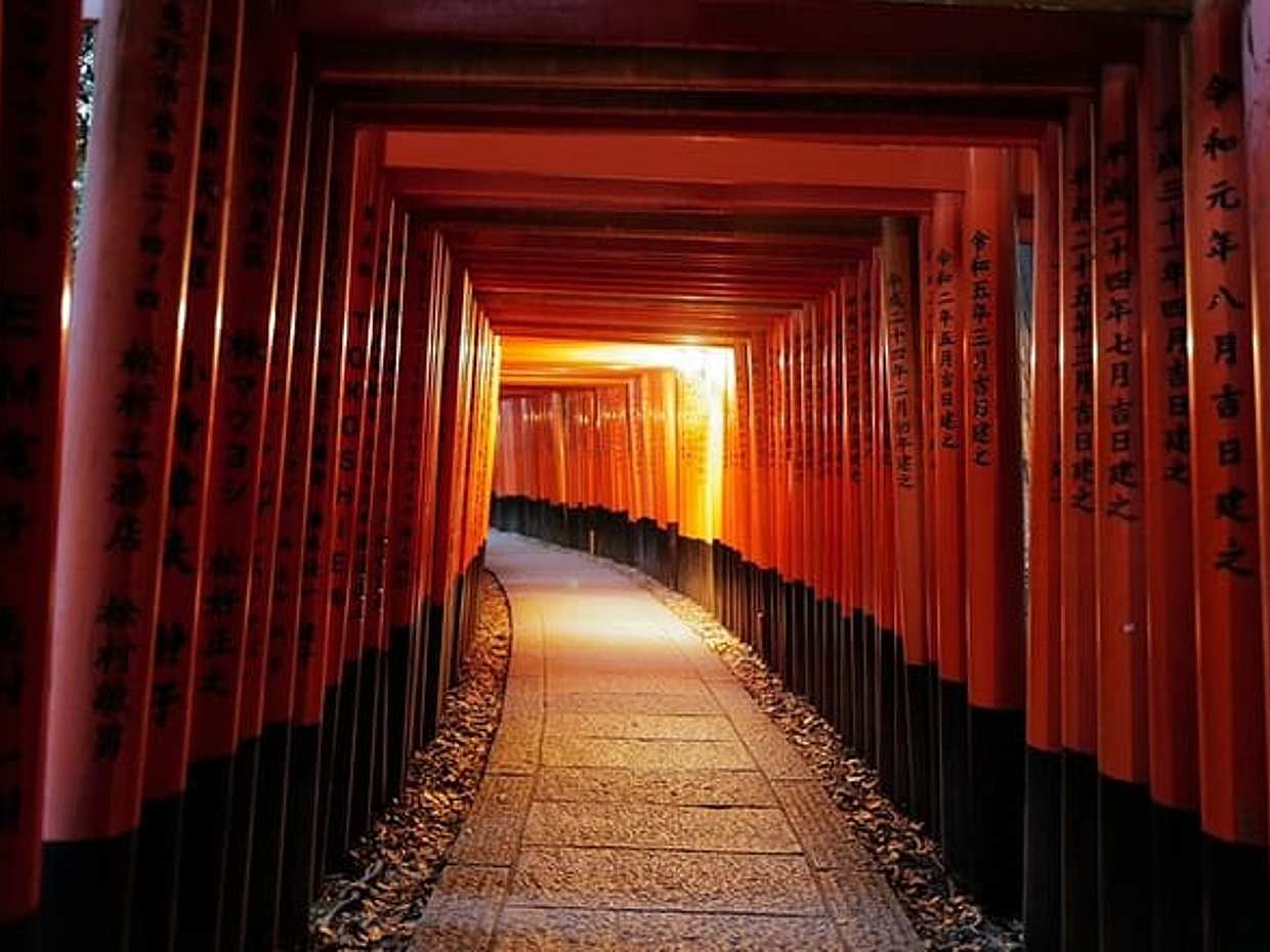 Kyoto Fushimi Inari Night Walking Tour, photo 2