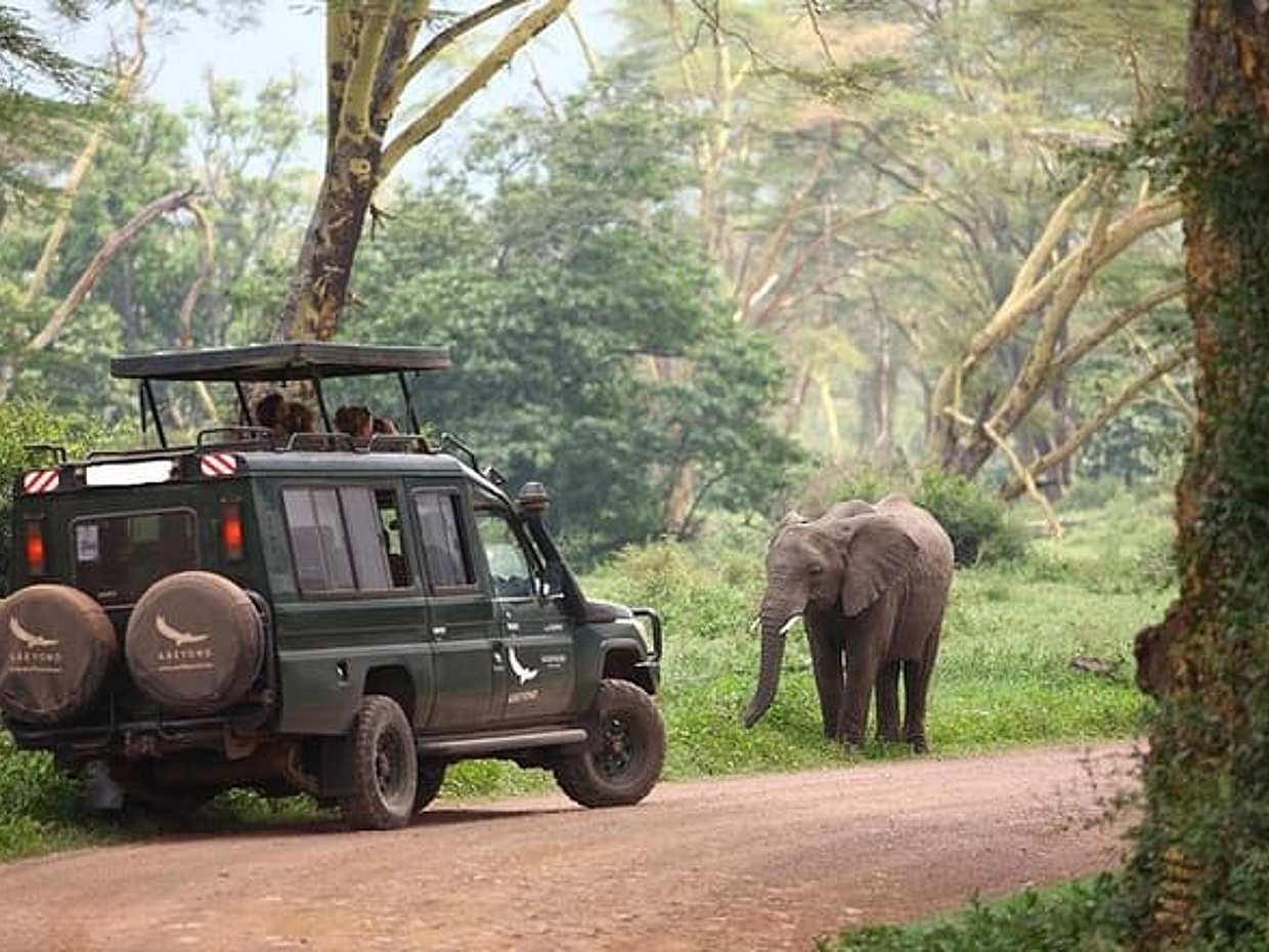 11 Days Best of Kenya & Tanzania Big 5 Safari on 4x4 Jeep, photo 3