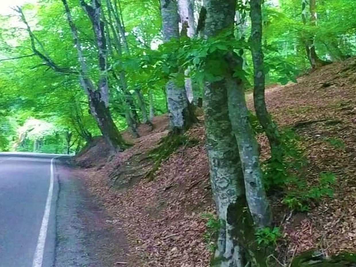 Descubre Pankisi: Aventura en Duisi, Akhmeta y Khadori en Georgia, Tiflis, photo 5