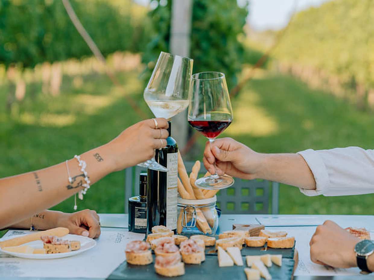 Wine and Food Tasting in the Vineyards, photo 3