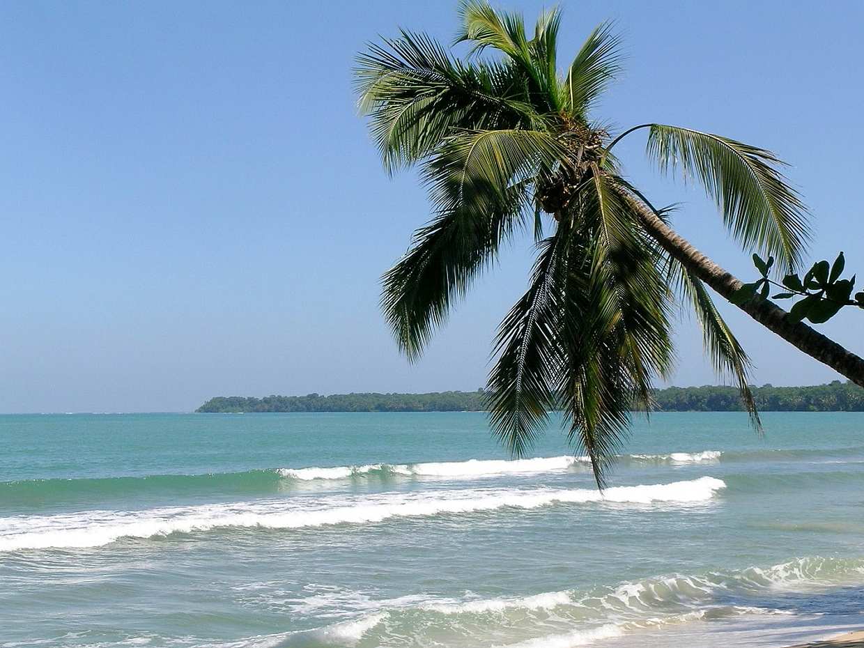 Cahuita National Park and Banana Plantation Tour from Limon in Costa Rica, photo 3