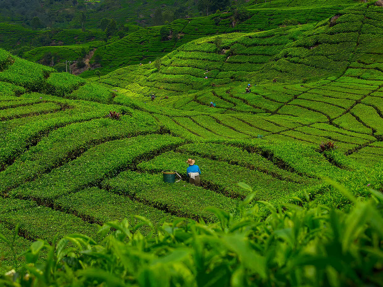 Private Bali Healing, Art and Nature Tour, photo 2