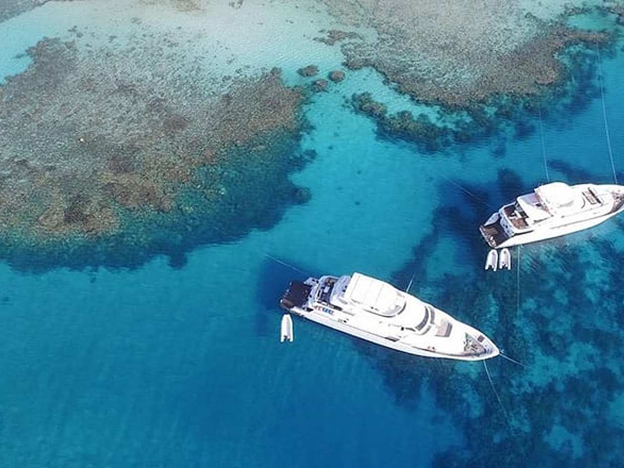 Excursión de día completo de snorkel al Parque Nacional de la Isla Giftun en Egipto, Hurghada, photo 2