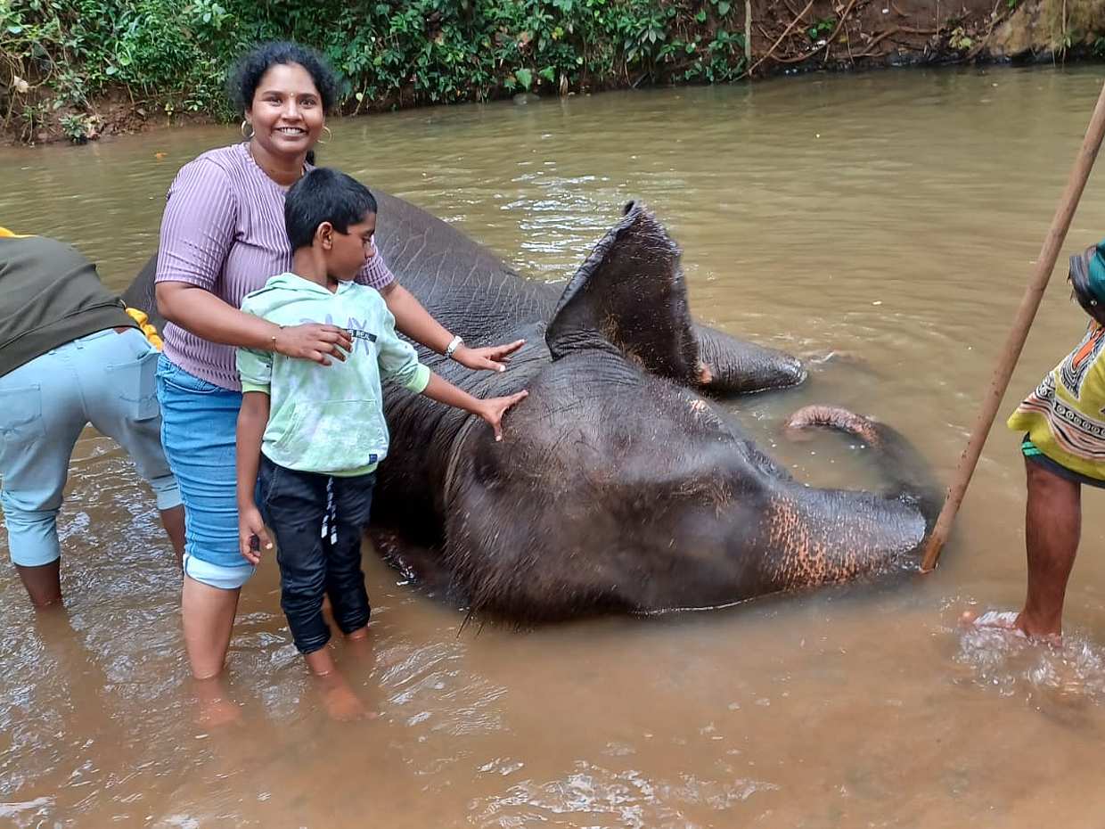 Full-day Enchanting Private Excursion from Colombo to Kandy by Van in Sri Lanka, photo 4