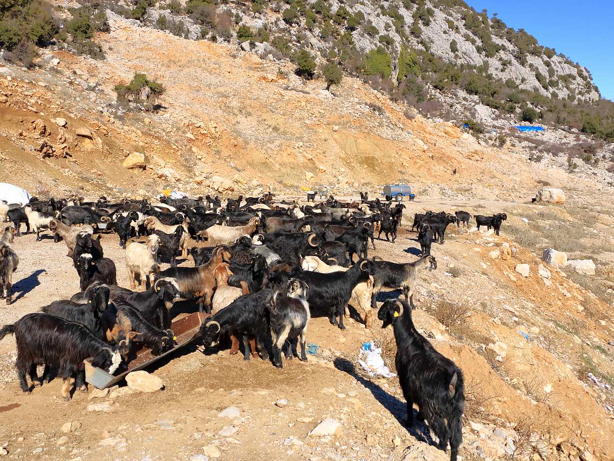 Private Mountain Tour in Antalya in Turkey, photo 2