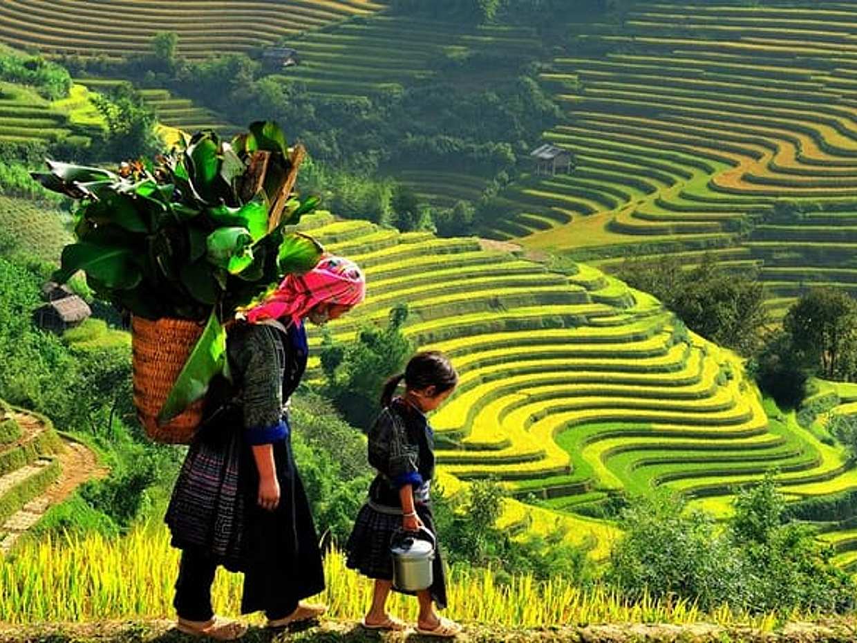Sapa 3 Days Trekking Tour by Bus (1 Night Homestay 1 Night Hotel)