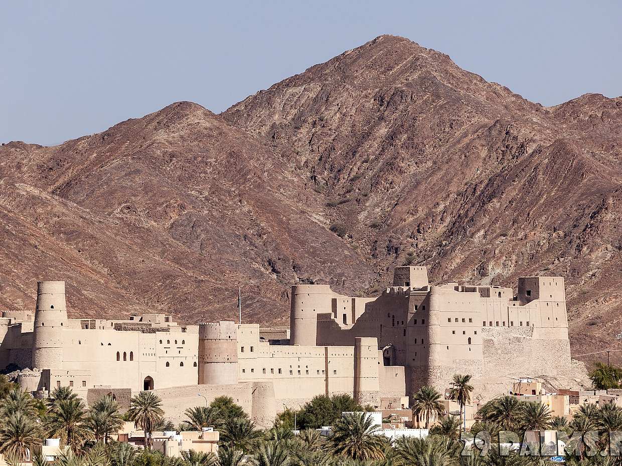 Nizwa, Jabal Al Akther, Birkat Al Mouz Private Tour in Oman, Muscat
, photo 4