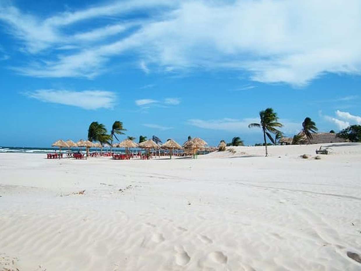 Marajó Island - 2D1N, Brazil, photo 4
