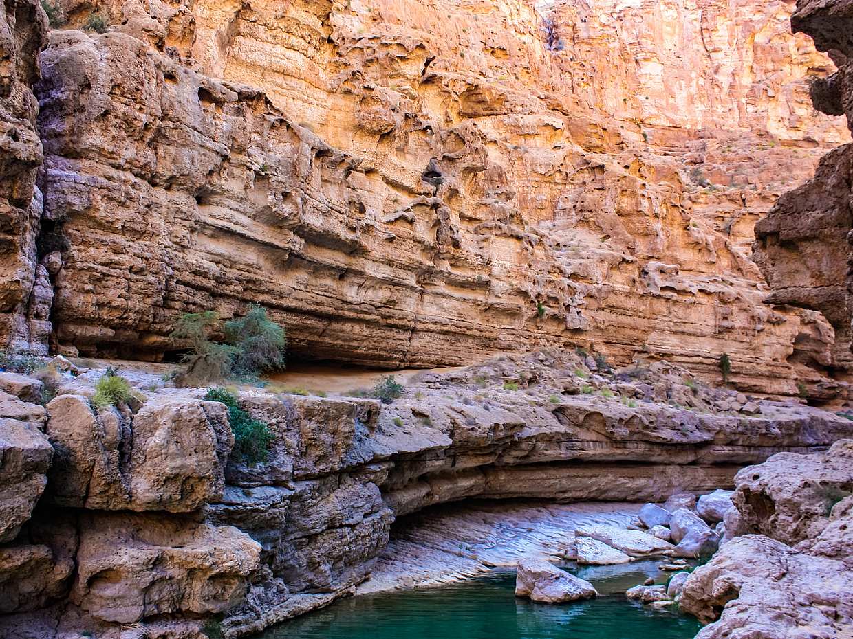 Coastal Wonders: Wadis and Spectacular Views Tour in Oman, Muscat, photo 2