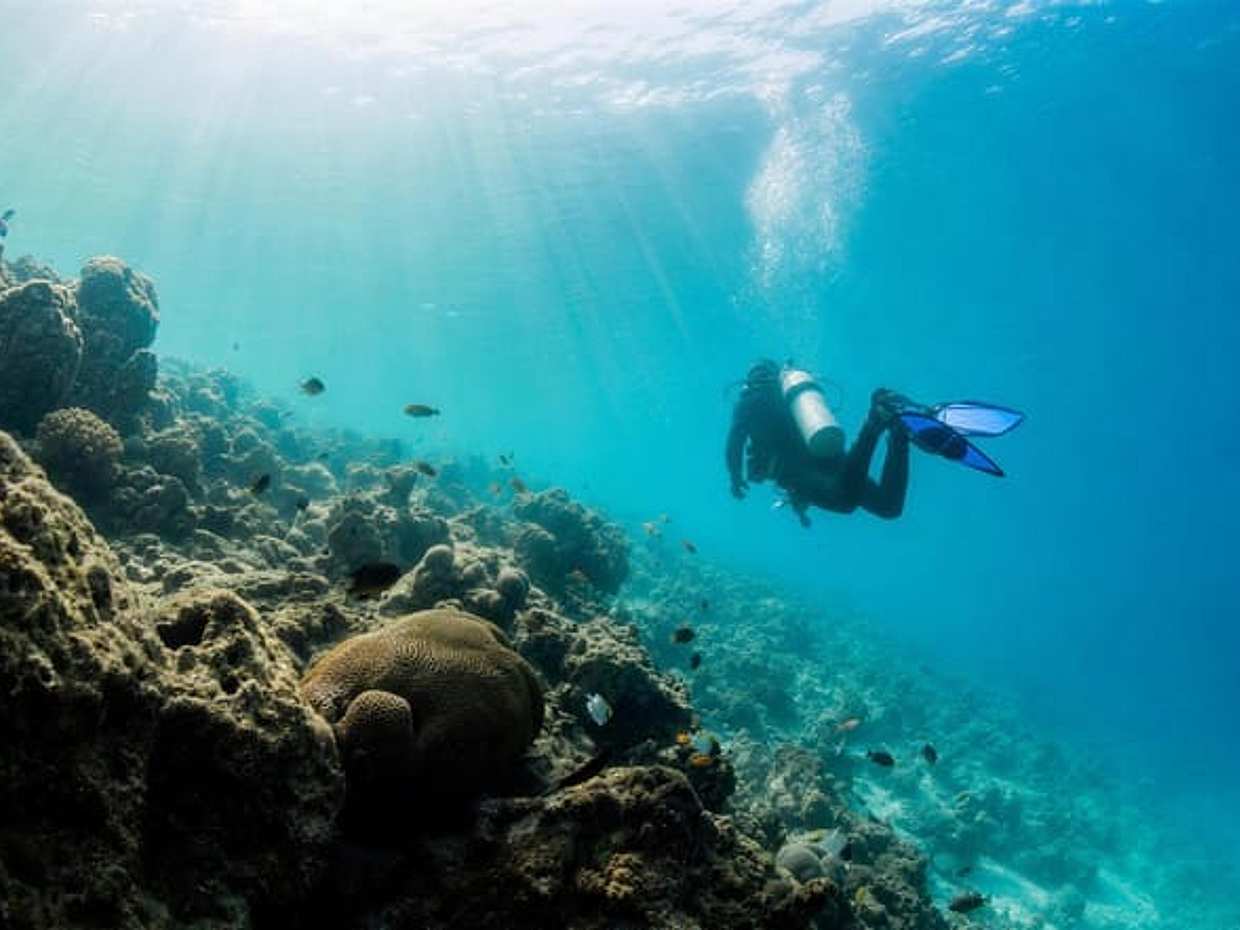 Scuba Diving Tour in United Arab Emirates, Dubai