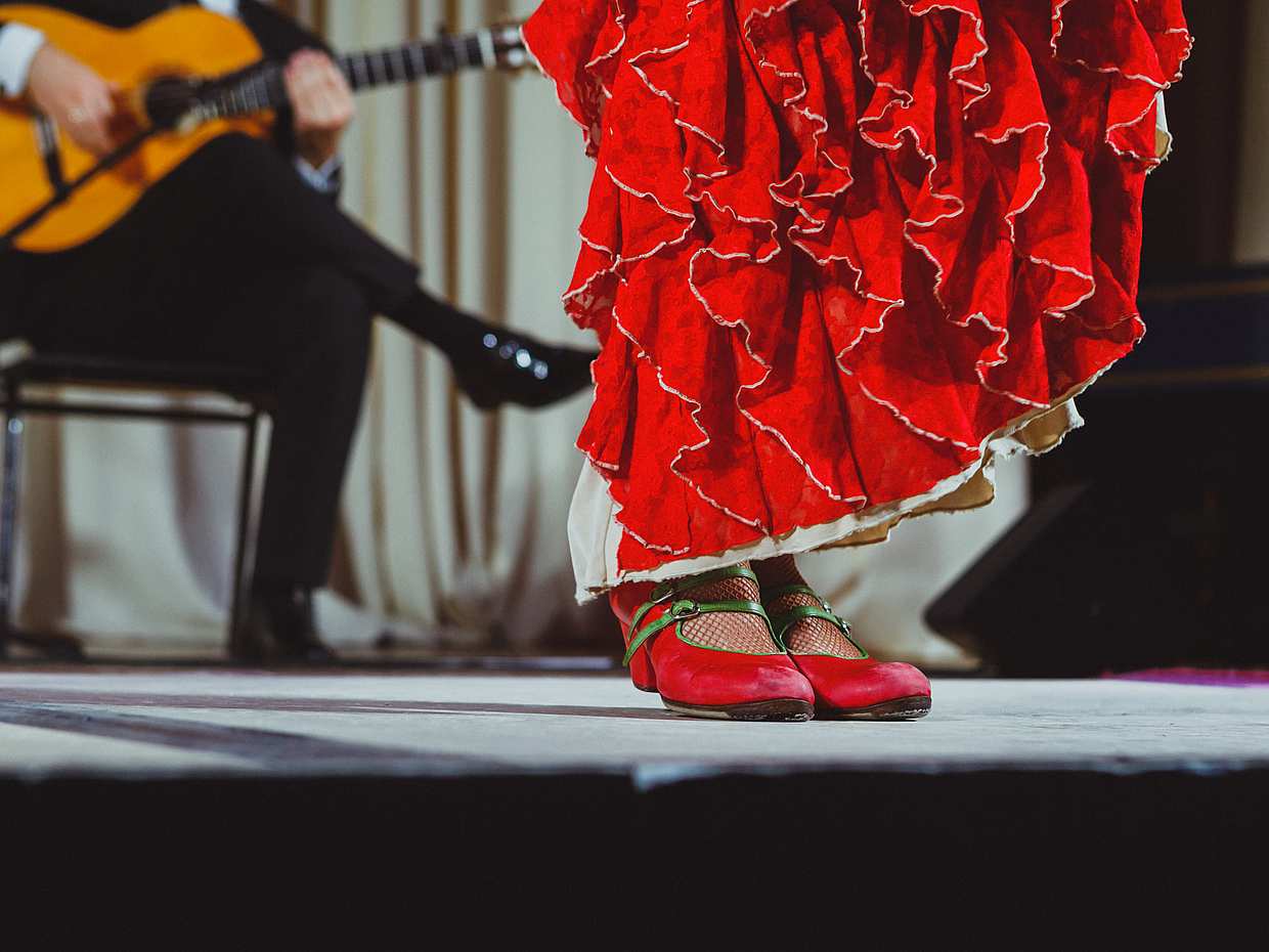 Degustazione di vini andalusi ed esperienza di flamenco