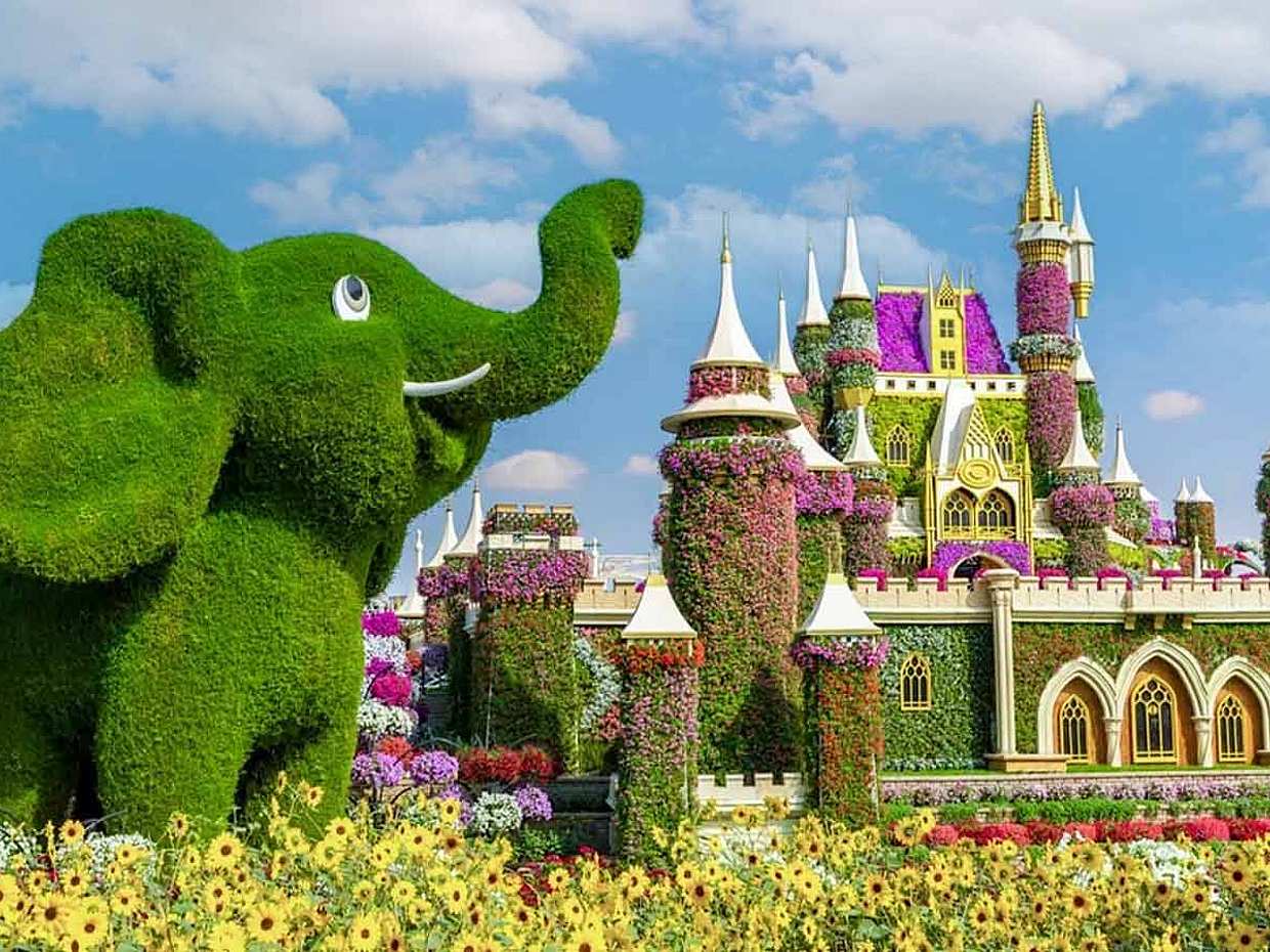 Dubai Miracle & Butterfly Garden tour with private transfers in United Arab Emirates, photo 4