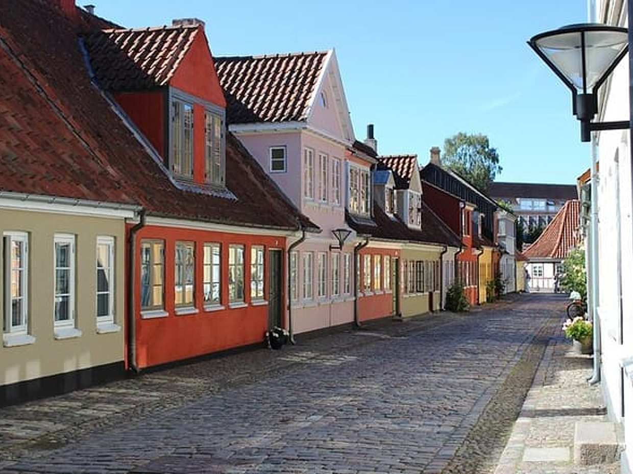 Özel Transfer Kopenhag'dan Ribe'ye, Danimarka'da 2 Saatlik Duraklama ile