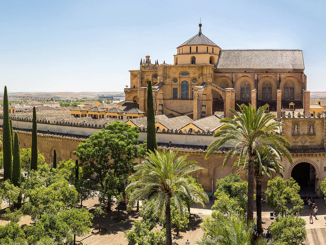 The Best of Córdoba from Madrid in One Day in Spain, photo 4
