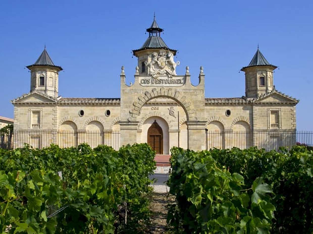 Private Shore Excursion from Le Verdon to Medoc Winery
