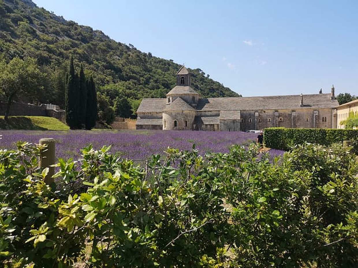 Marseille Shore Excursion: Private Day Trip to Luberon Villages, photo 5