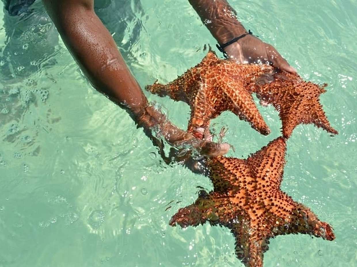 Saona Island Tour in Dominican Republic, Punta Cana, photo 3