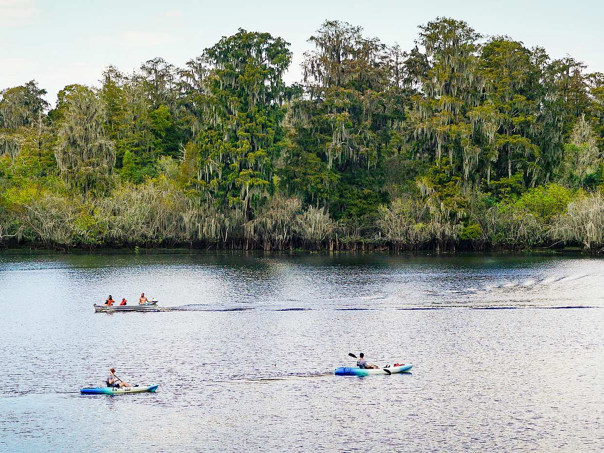 Mangrove Kayaking Adventure in Costa Rica, Quepos, photo 2