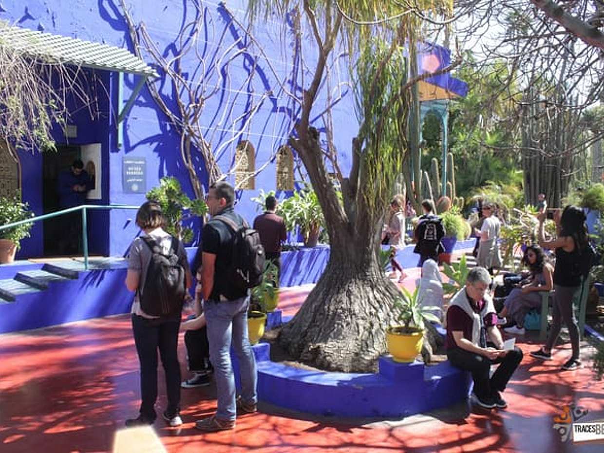 Visit Majorelle Gardens, Museum and Ramparts, photo 3