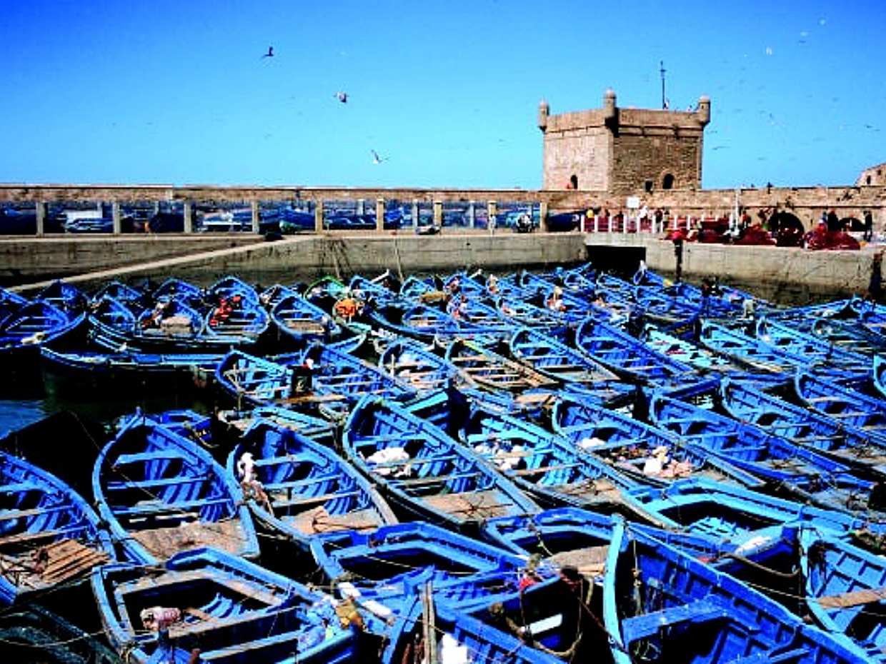 Excursión de un día a la costa de Essaouira desde Marrakech con guía en Marruecos
, photo 2