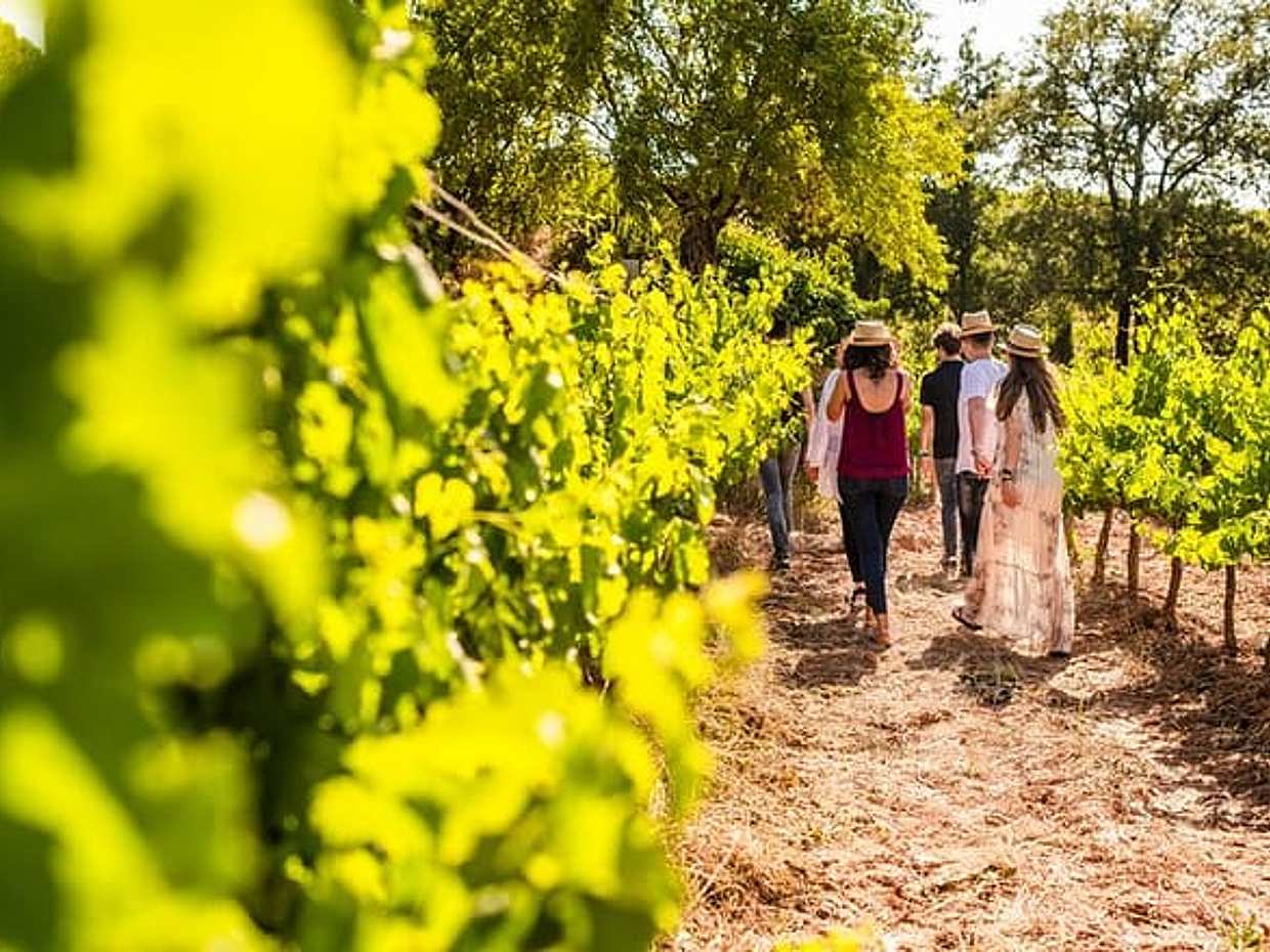 Montserrat Full Day Tour with Farmhouse Lunch and Winery Experience