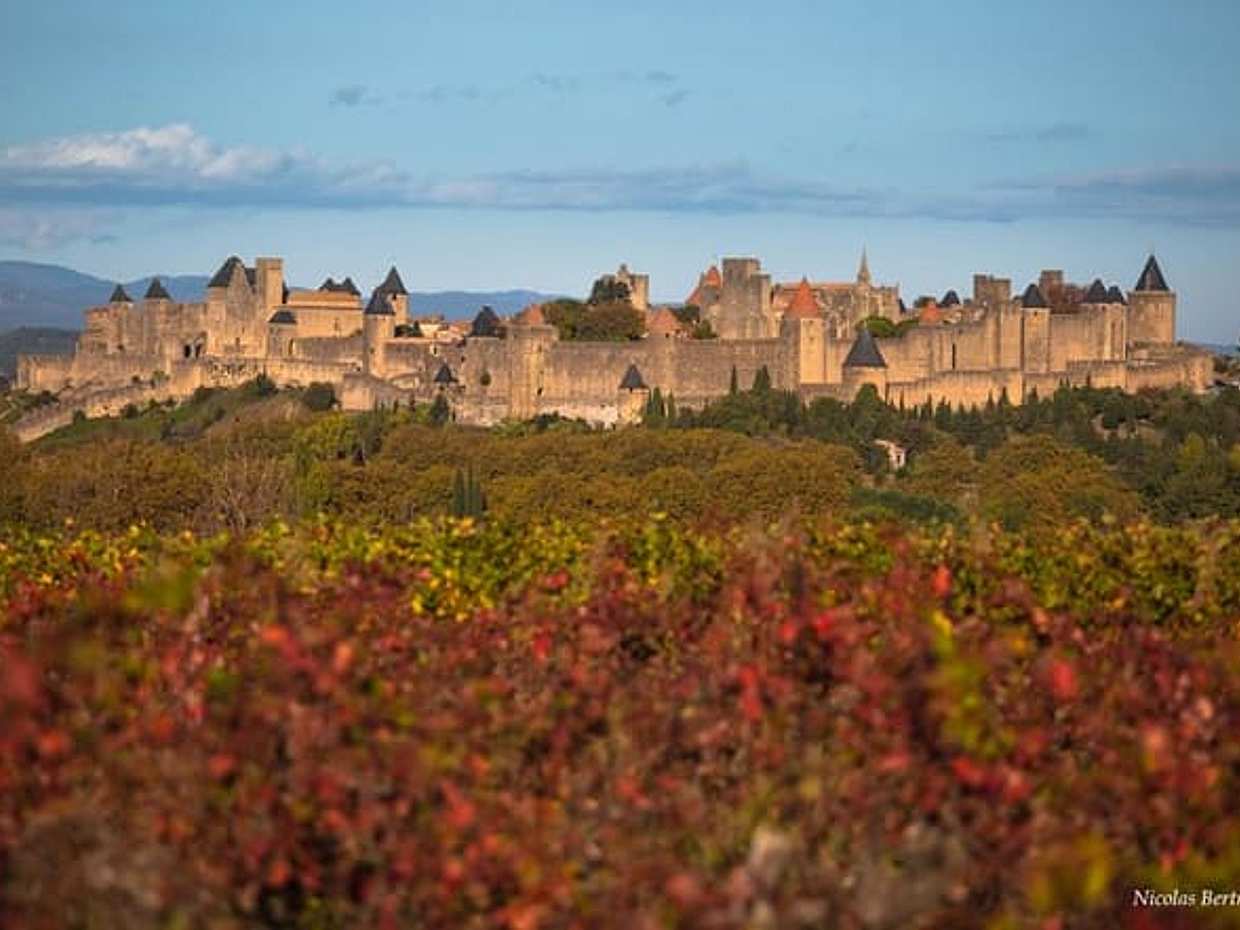 Private day tour : Cité de Carcassonne & the Lastours Castles.From Toulouse, photo 3