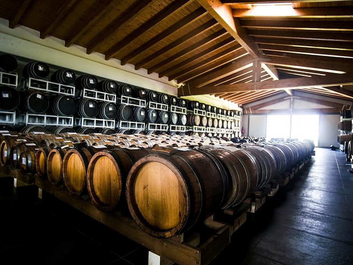Modena: Balsamic Vinegar Tour, Parmigiano & Gelato Tasting, photo 3