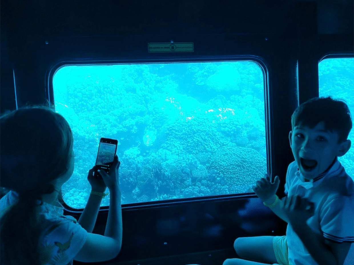 Shore Excursions: Dolphin Show, Photo session and Semi Submarine, photo 2