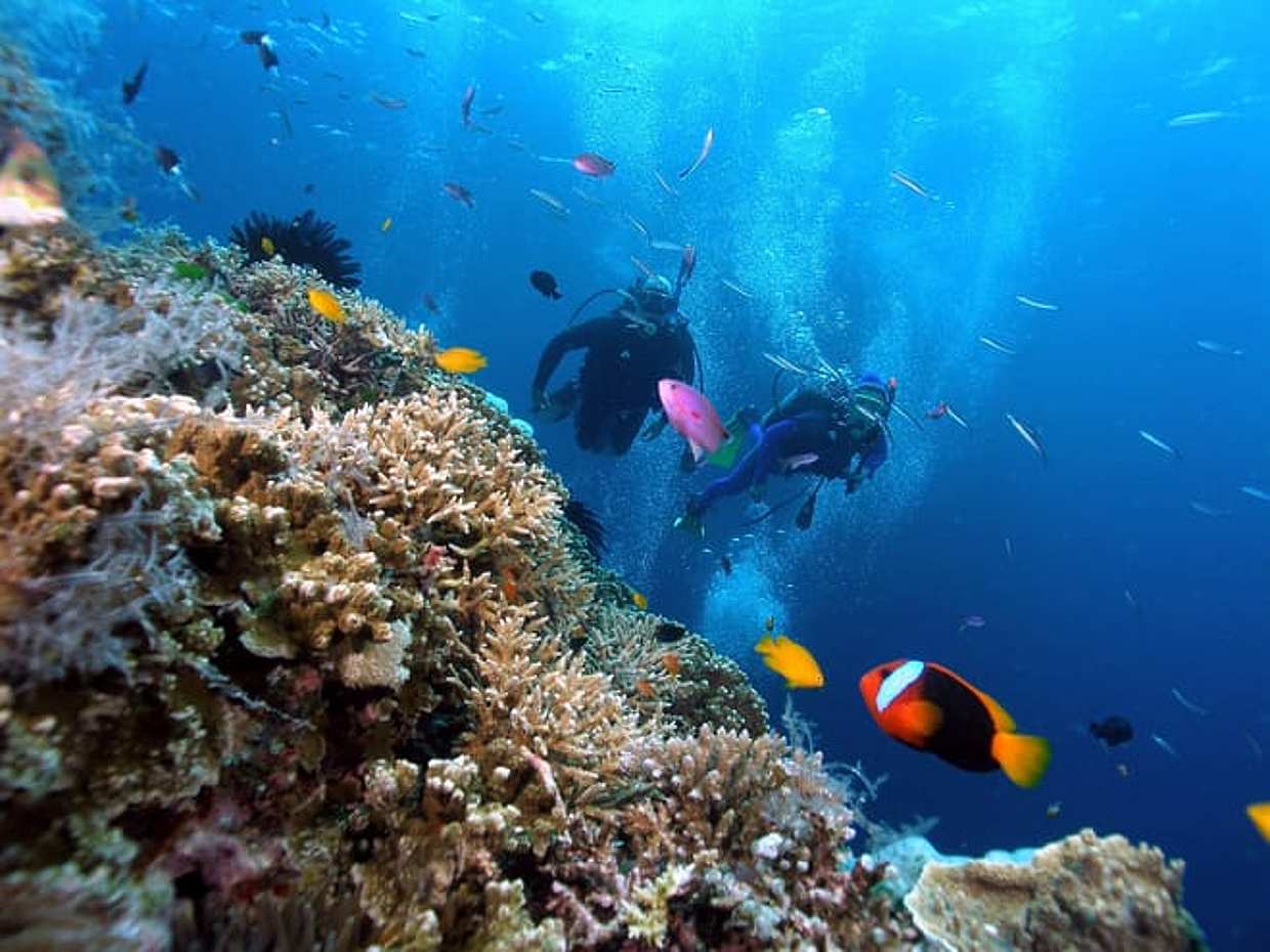 Snorkeling - Fishing To The South Phu Quoc, photo 3