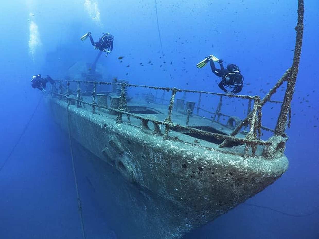 "PECIO CORVETA AFONSO CERQUEIRA - Inmersión única en Portugal, Funchal", photo 2