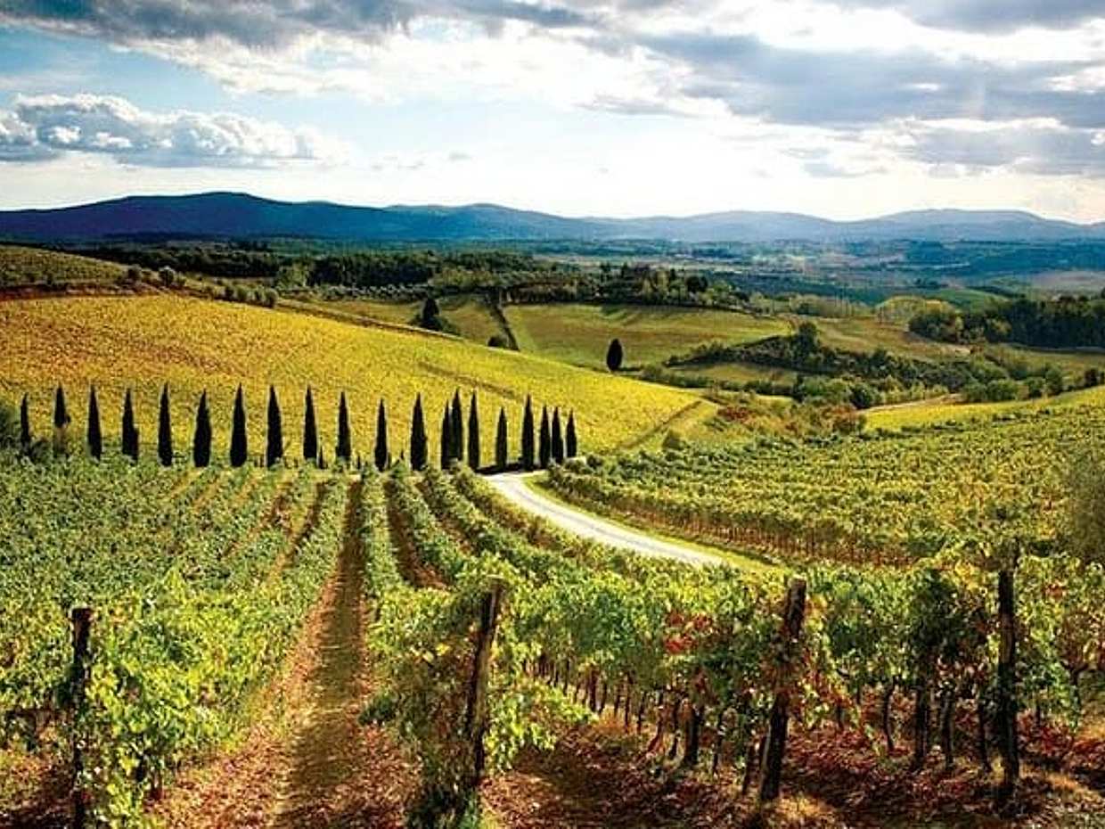 Vespa Tour in Chianti met wijnproeverij vanuit Florence in Italië, Siena, photo 4