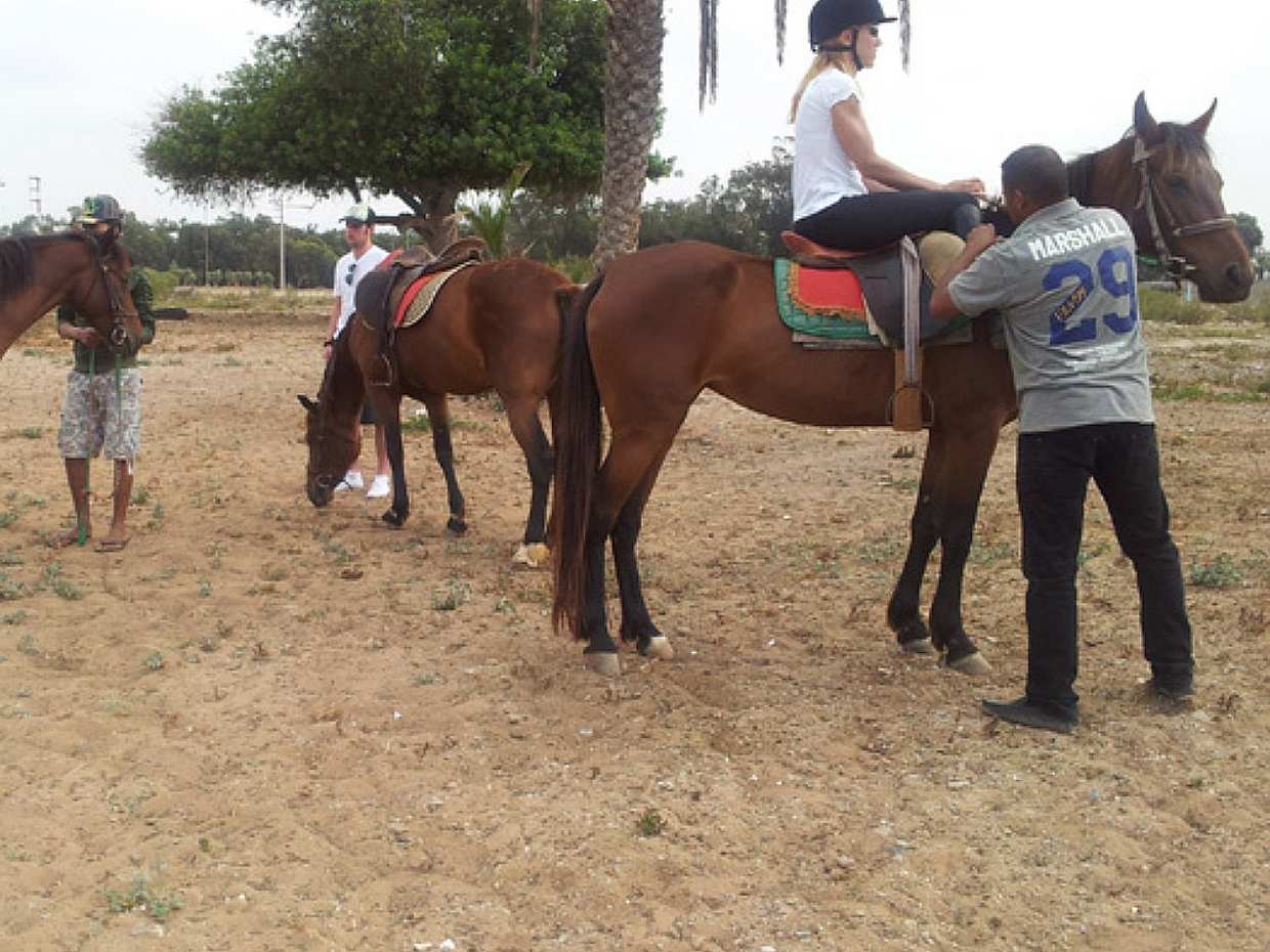 Reiten in Agadir und der Flamingo-Fluss in Marokko
, photo 3