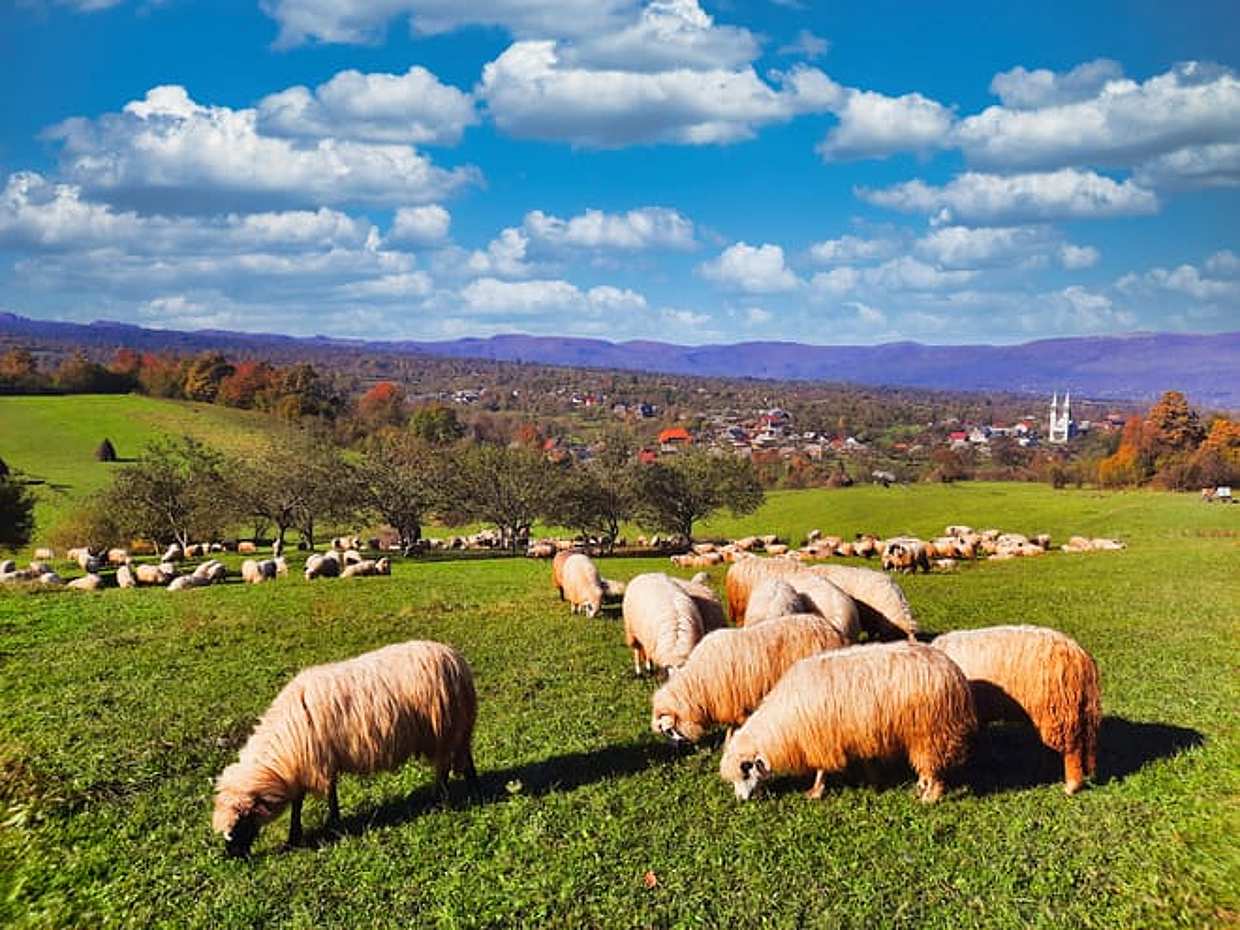 Best of Maramures, Romania, photo 5