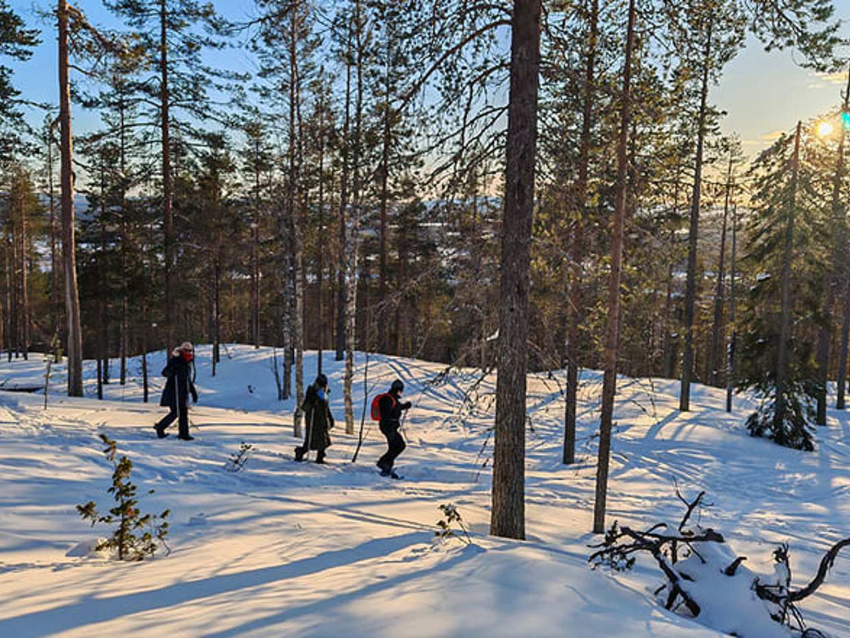 Wilderness Snowshoeing with a Campfire Stop in a Private Hut, Levi