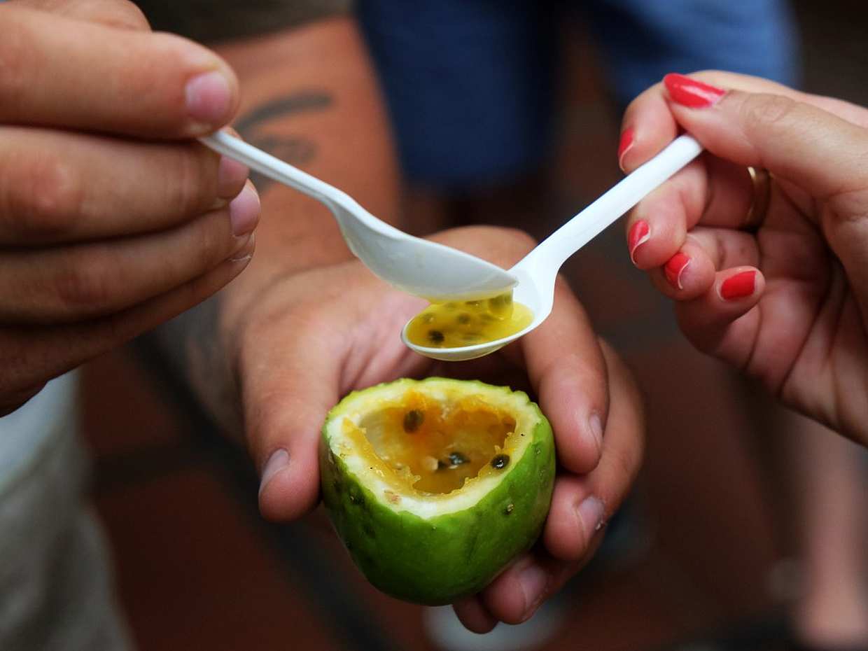 Visite gastronomique et œnologique de Madère au Portugal, Funchal, photo 4