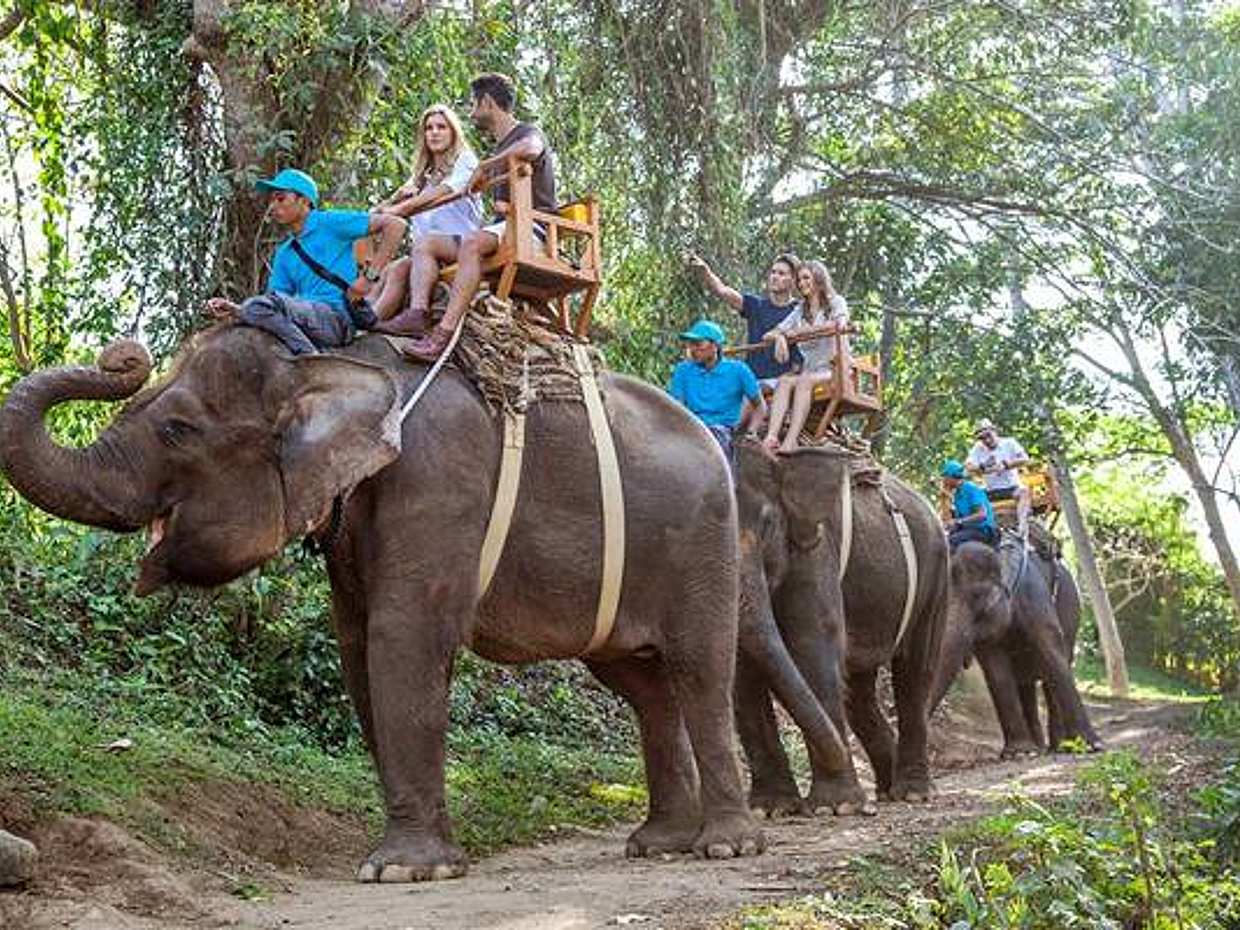An Unforgettable Elephant Ride at Bali Zoo in Indonesia, Bali Zoo Elephant Ride