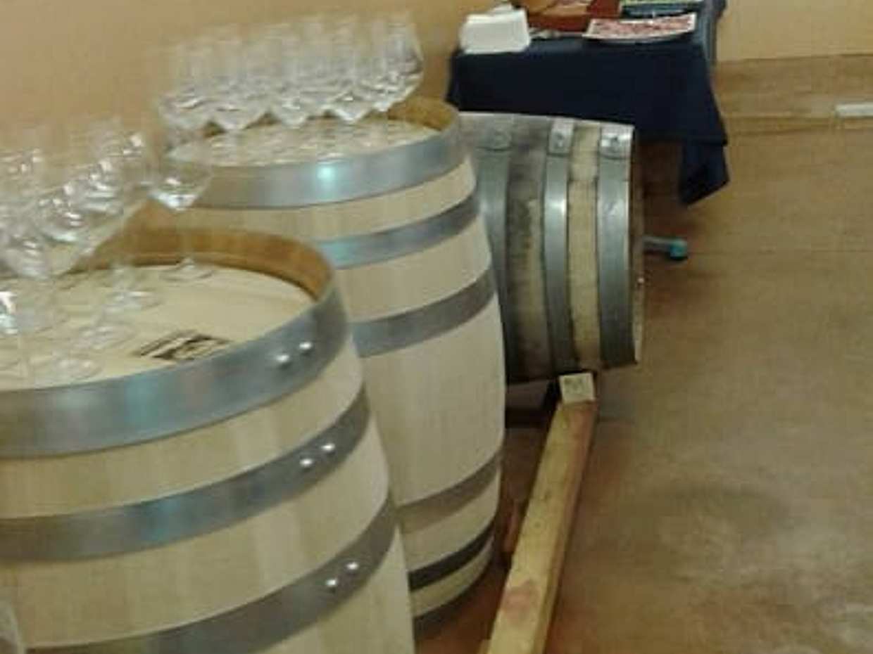 Visita la cantina Pian di Mare, photo 2