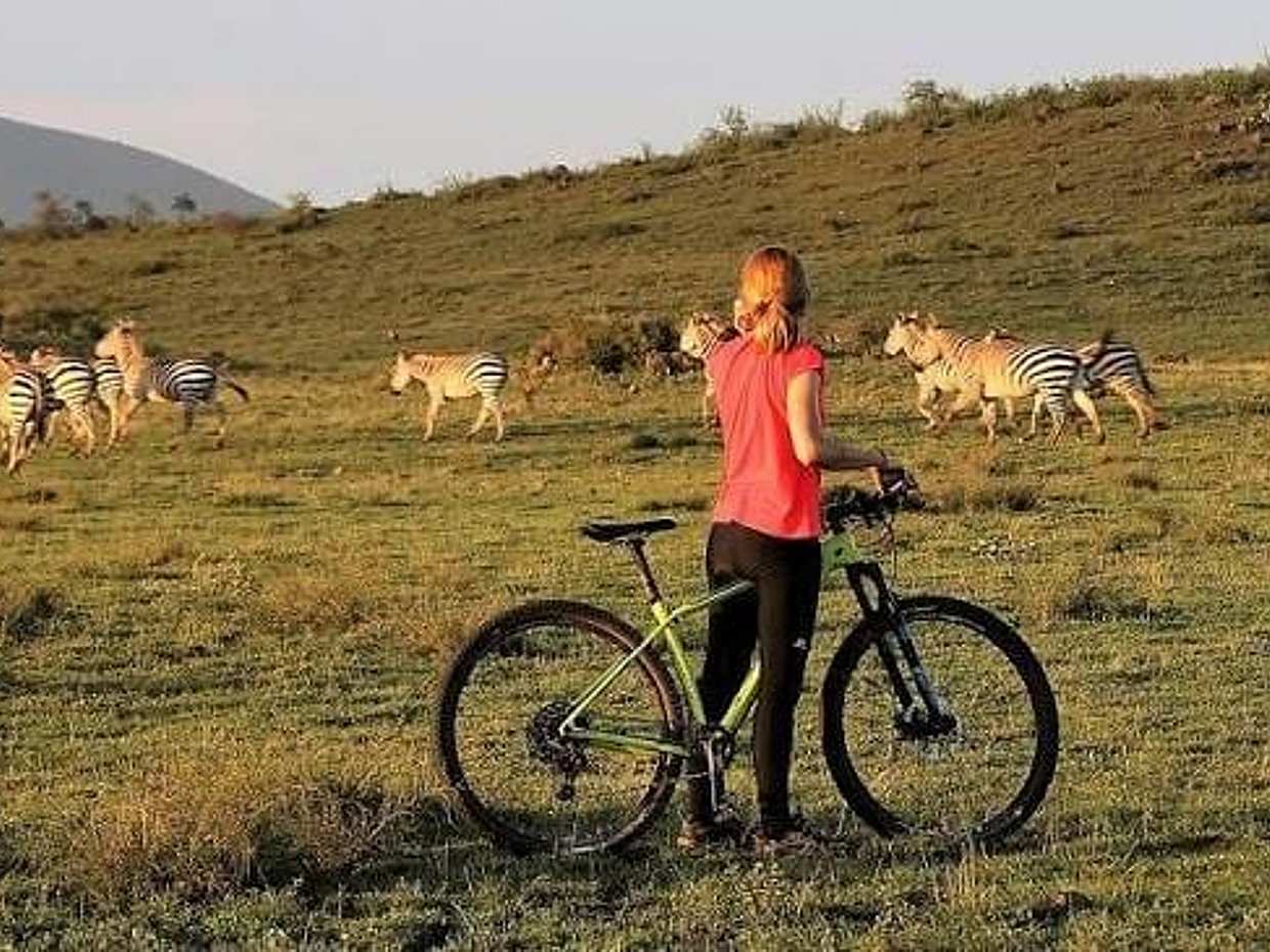 Arusha National Park Day Trip: Game Drive & Walking Safari, Tanzanie, photo 4