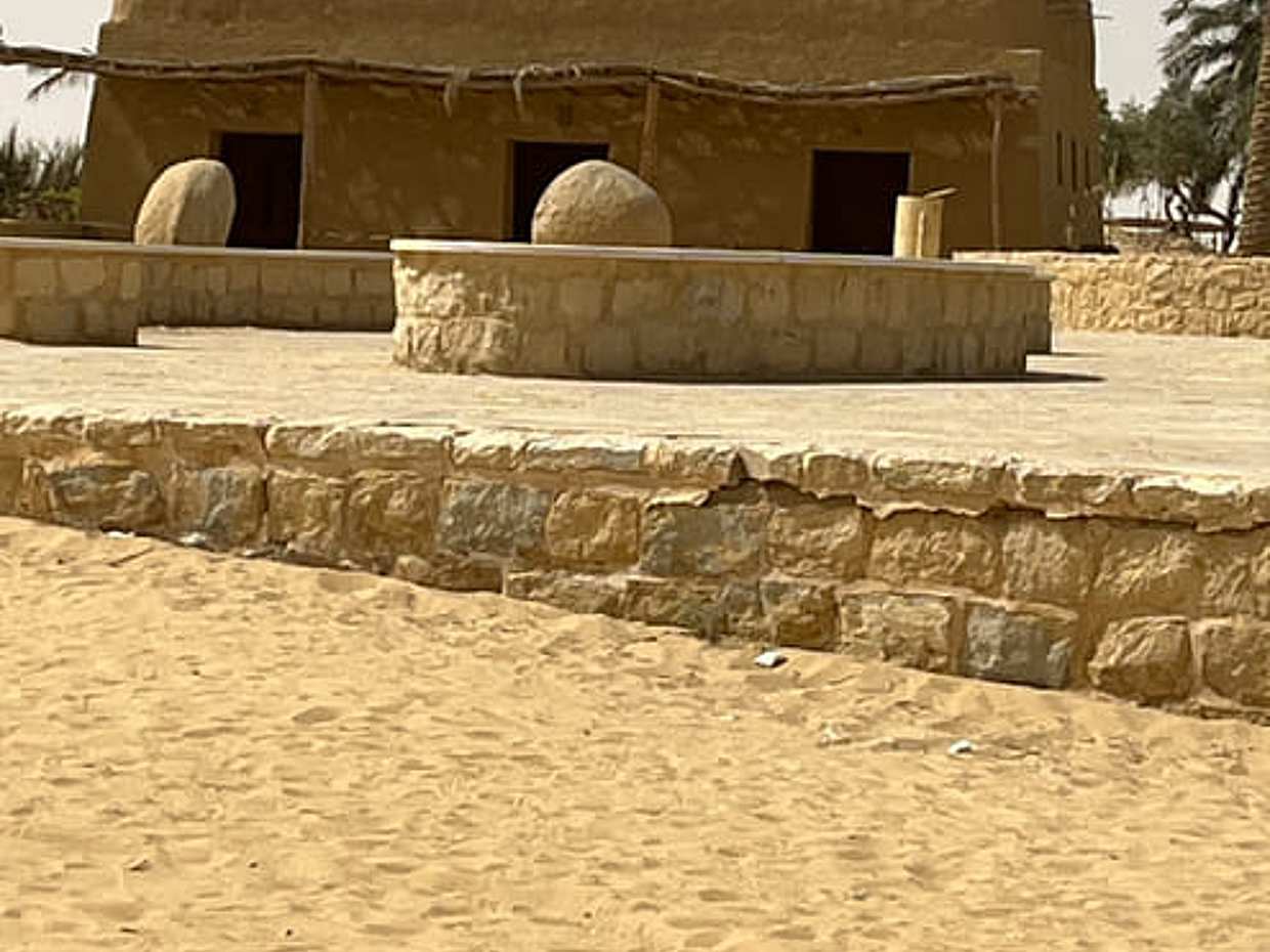 Full Day from Cairo to El Fayoum, Wadi El Rayan, Wadi El Hitan, photo 3