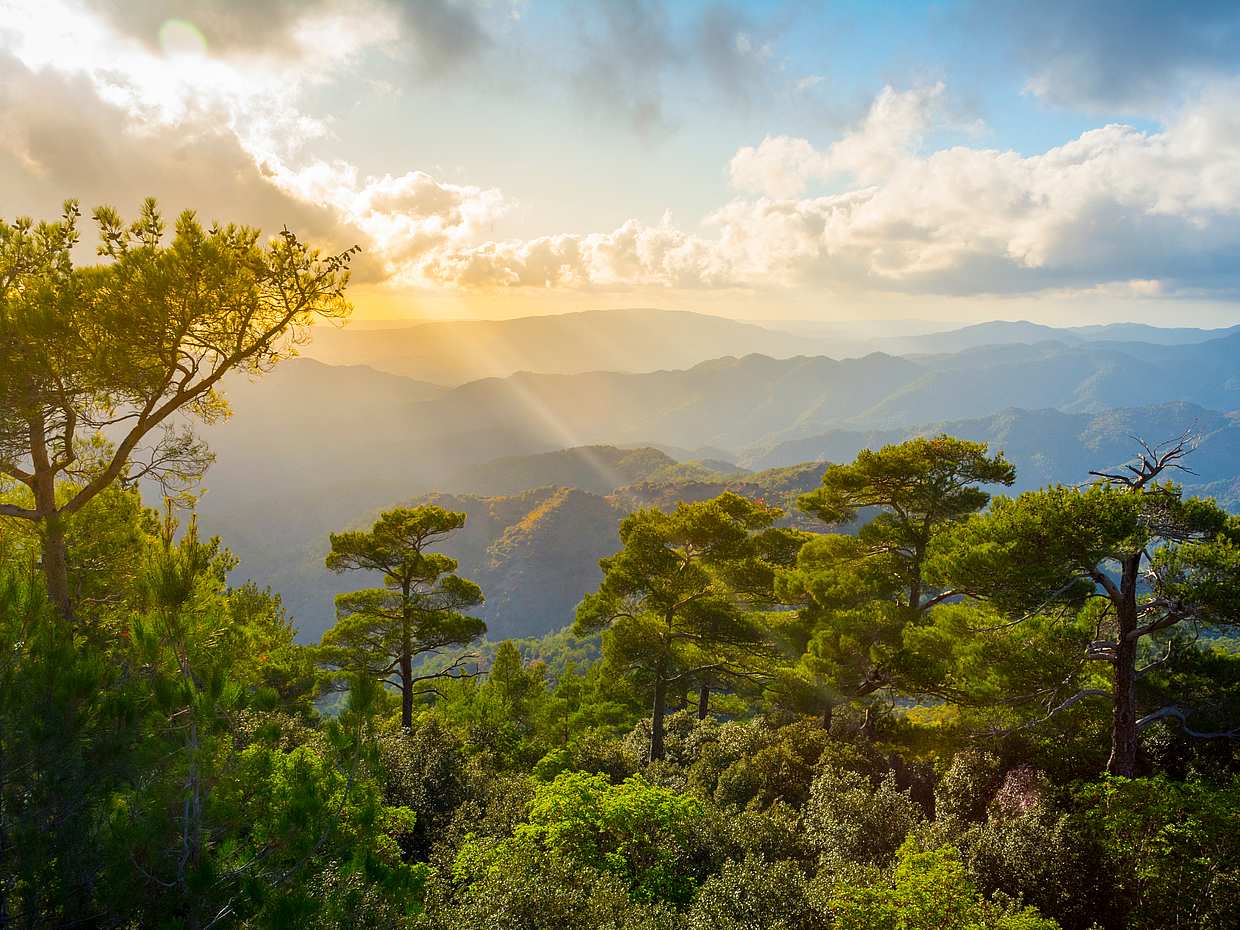 The Troodos Mountains Tour