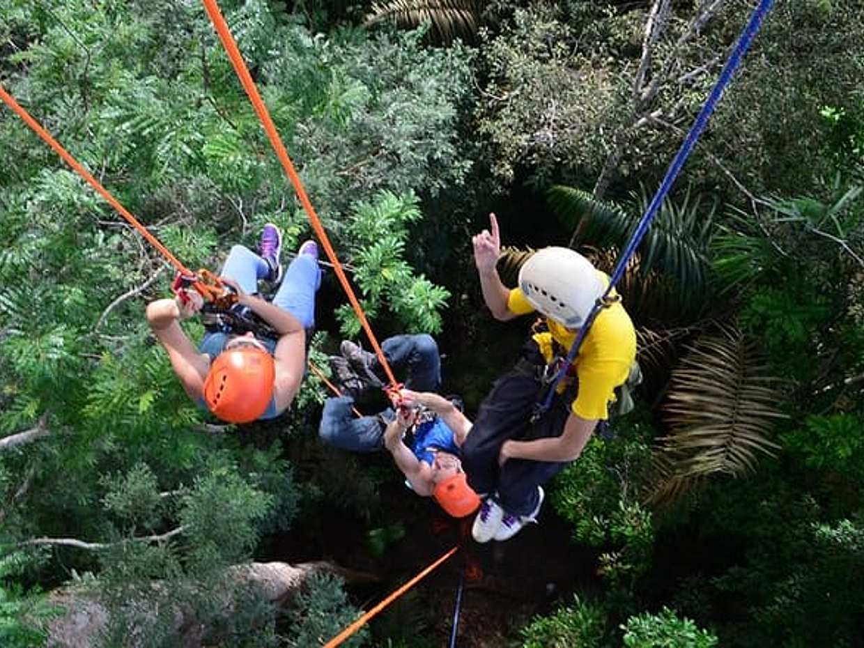Tree Climbing in the Amazon in Brazil, Manaus, photo 4