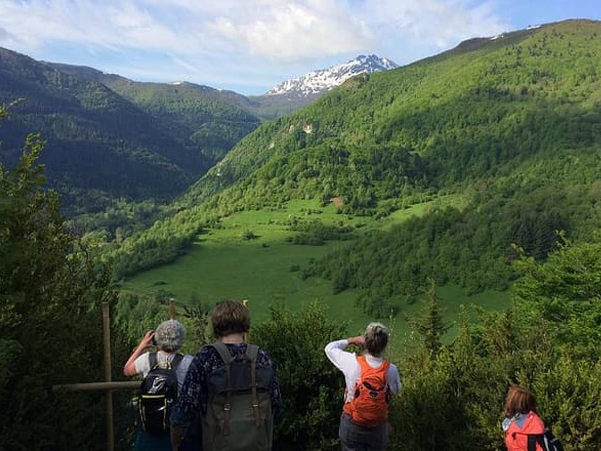 Day Tour to Mirepoix, Montségur, Camon. Private tour from Carcassonne