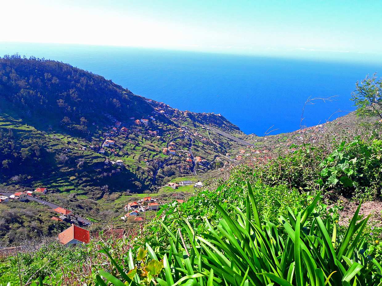 Valle de Serra de Água: Excursión de Senderismo de Medio Día en Portugal, Funchal
