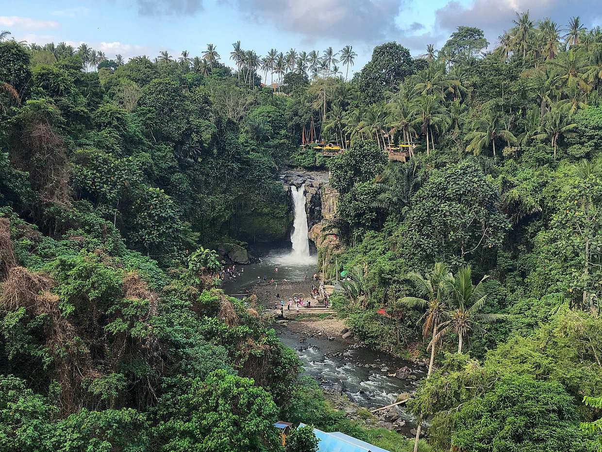 <p>Bali: Ubud Tour – Natur, Kultur & ikonische Erlebnisse in Indonesien</p>, photo 4